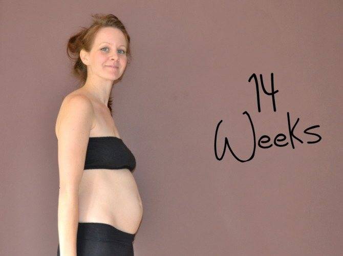 ➤ 14 неделя беременности всё что нужно знать будущей маме