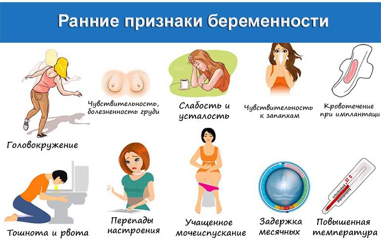Как распознать беременность на ранних сроках. инфографика | инфографика | аиф ставрополь