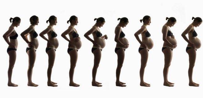 Рост живота при беременности: факторы, сроки, несоответствие нормам