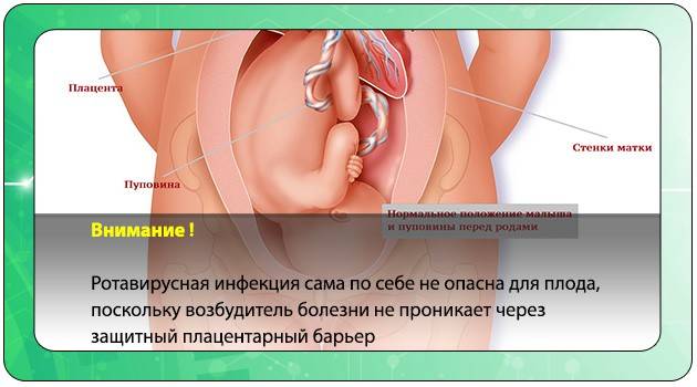 Топ глистогонных препаратов