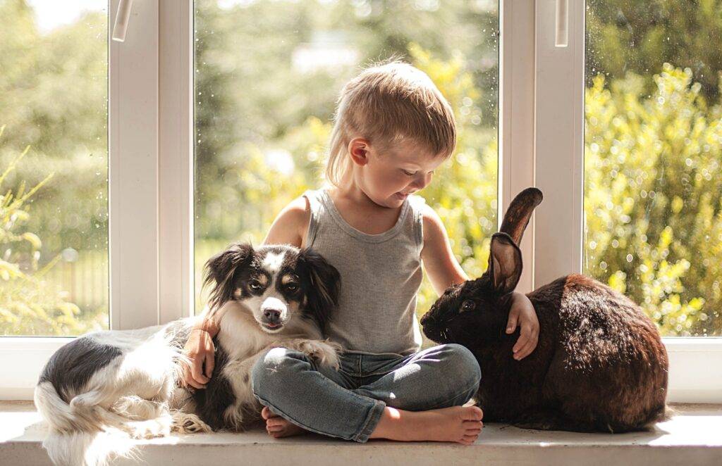 Ребенок и домашние животные: плюсы и минусы