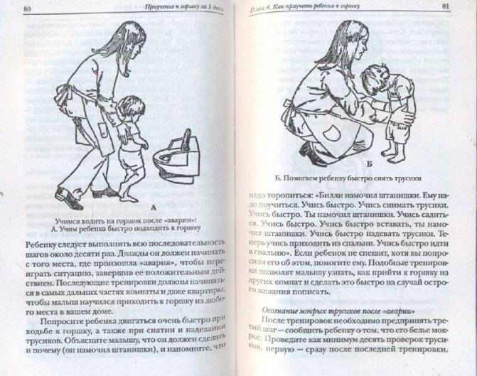 Как приучить ребенка к горшку: методики и важные нюансы