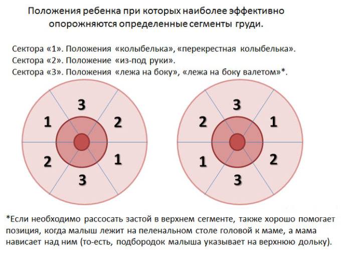 Массаж груди при беременности: в какие сроки гестации полезно проводить процедуры, а когда нежелательно?