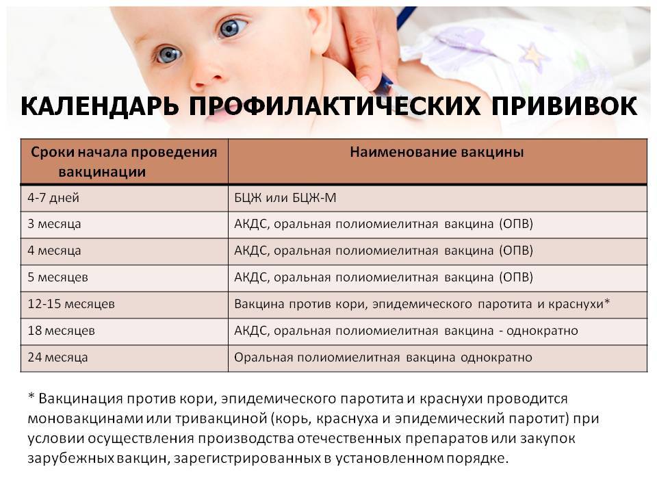 Прививки взрослым: что нужно знать, календарь вакцинации, советы :: здоровье :: рбк стиль
