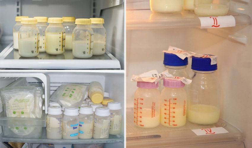 Сколько можно хранить грудное молоко в холодильнике: сроки