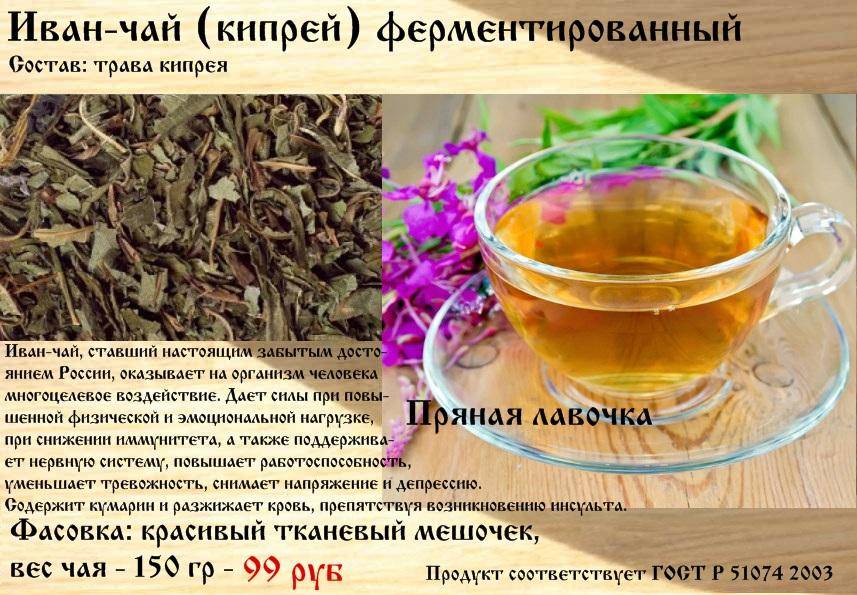Облепиховый чай – целебный напиток долголетия