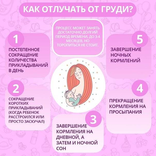 Сколько по времени ребёнок должен сосать грудь чтобы не остаться голодным - инструкция для молодых мам - автор екатерина данилова - журнал женское мнение