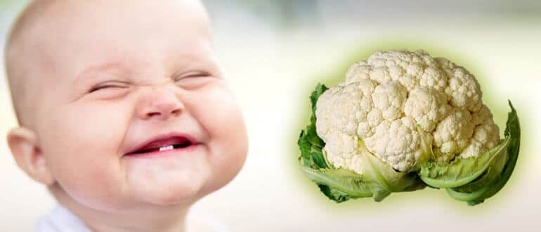 Вводим белокочанную капусту в прикорм ребенку