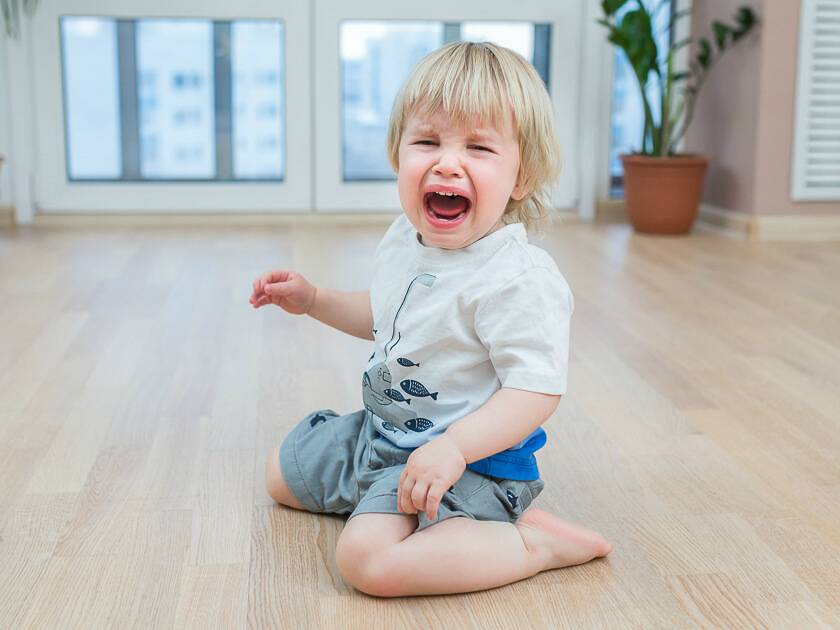 Почему возникают истерики у ребенка 4 лет и как от них избавиться? | s-voi.ru