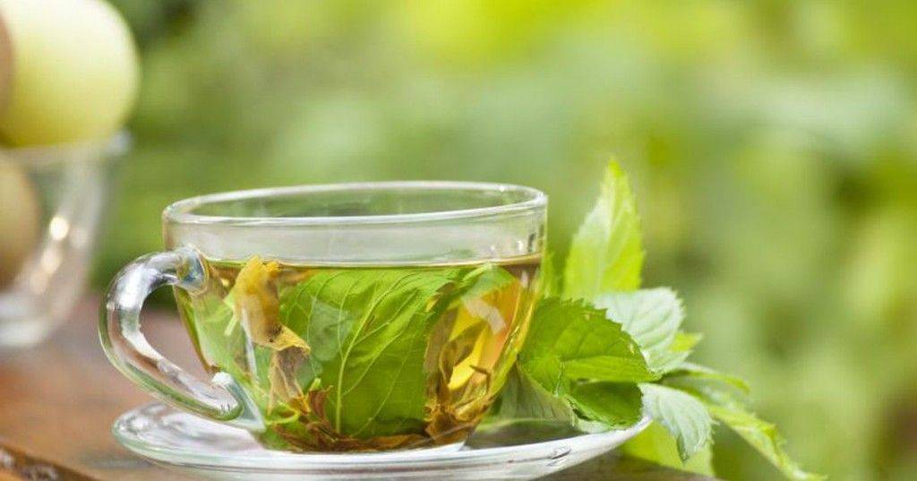 Можно ли пить чай с мятой, лимоном, зеленый или каркаде при грудном вскармливании