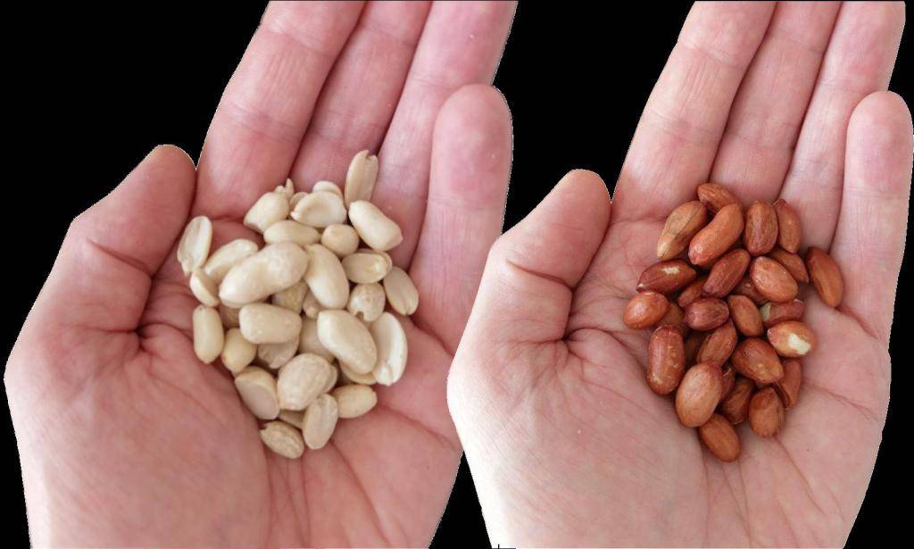 Можно ли употреблять арахис при беременности?