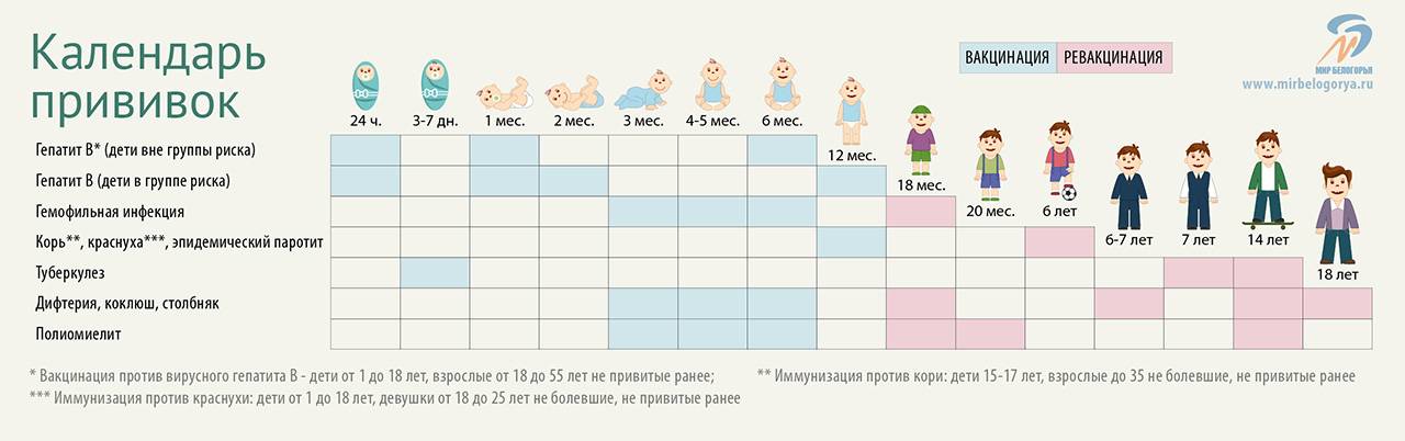 График вакцинации в первый год жизни ребенка согласно календарю ? плановых прививок - топотушки