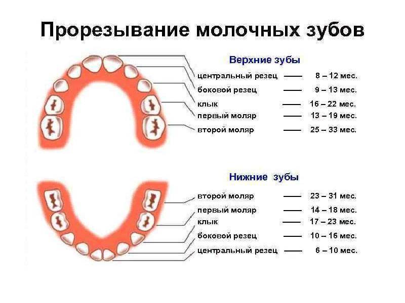 Нарушения прорезывания зубов