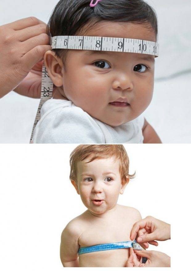 Окружность головы у детей по месяцам