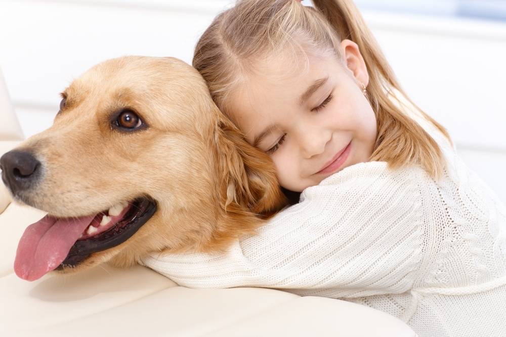 Домашние животные в жизни ребенка (консультация для родителей) - «дошколёнок.ру»