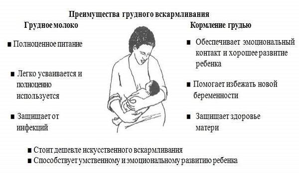 Набухание молочных желез при беременности | аборт в спб