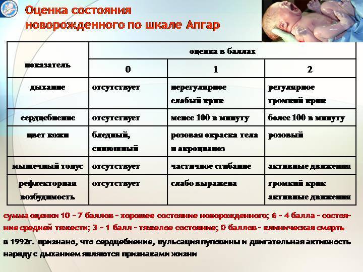 Оценка новорожденного по шкале апгар презентация