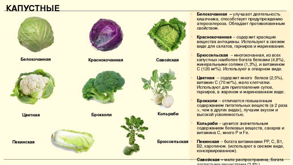 Можно ли листья салата при грудном вскармливании: айсберг и другие сорта листового салата