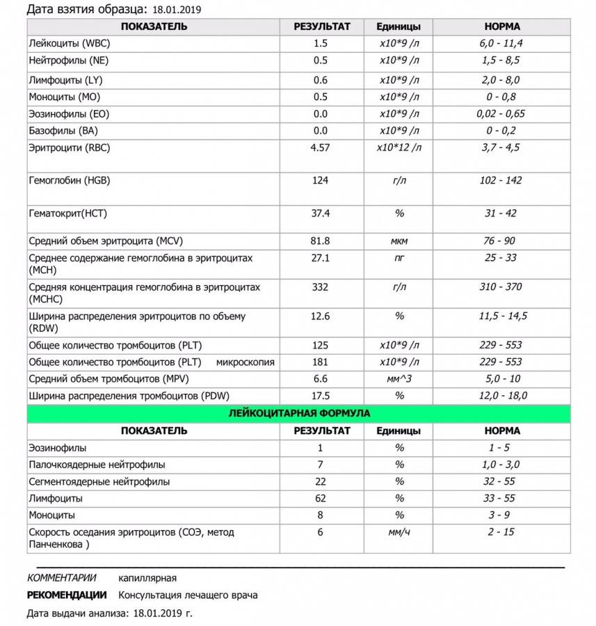 ✅ базофилы повышены у ребёнка: 2 причины, 2 способа определения, норма базофилов в крови - ik-rt.ru