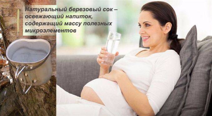 Березовый сок при беременности: можно ли пить свежий или консервированный сок во время беременности на ранних или поздних сроках и какие могут быть противопоказания