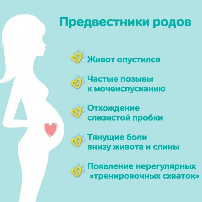 Предвестники родов: 8 основных признаков - развитие ребенка
