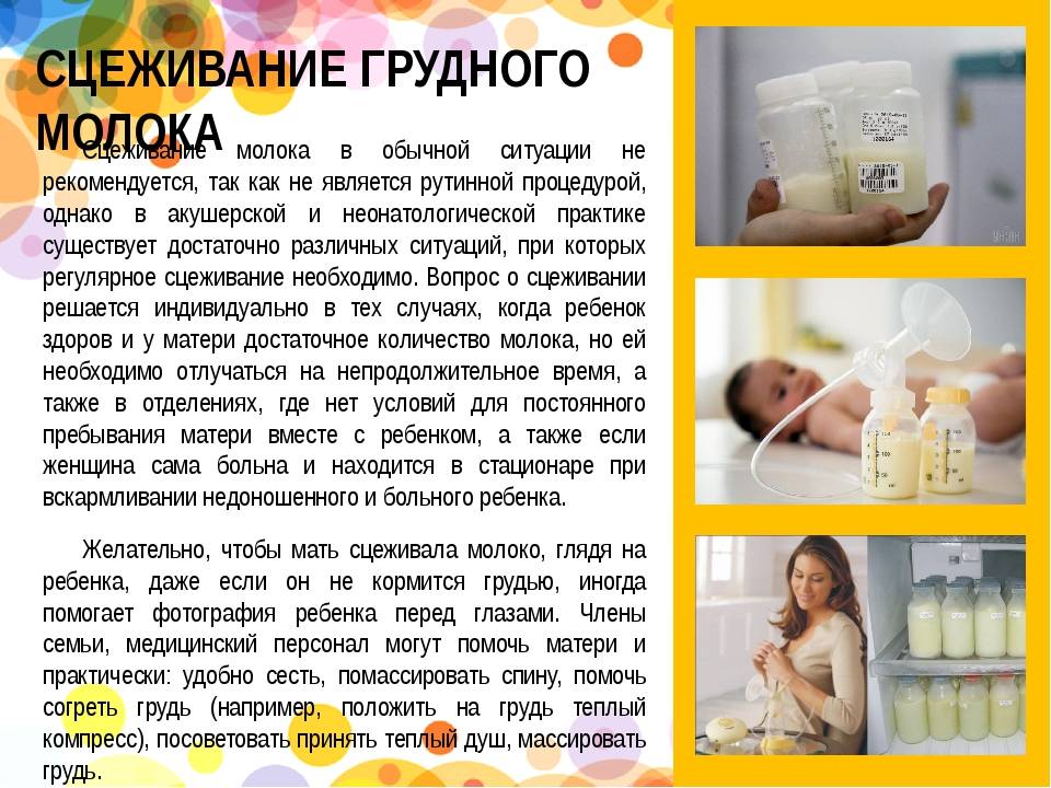 Как сцеживать грудное молоко | медицинский портал eurolab