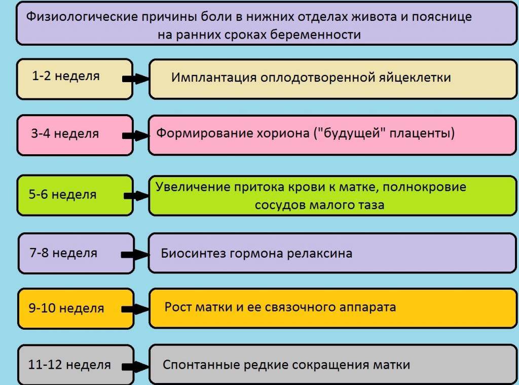 Причины боли в пояснице при беременности на раннем сроке