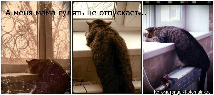 Что делать, если ребенок не отпускает маму ни на шаг?