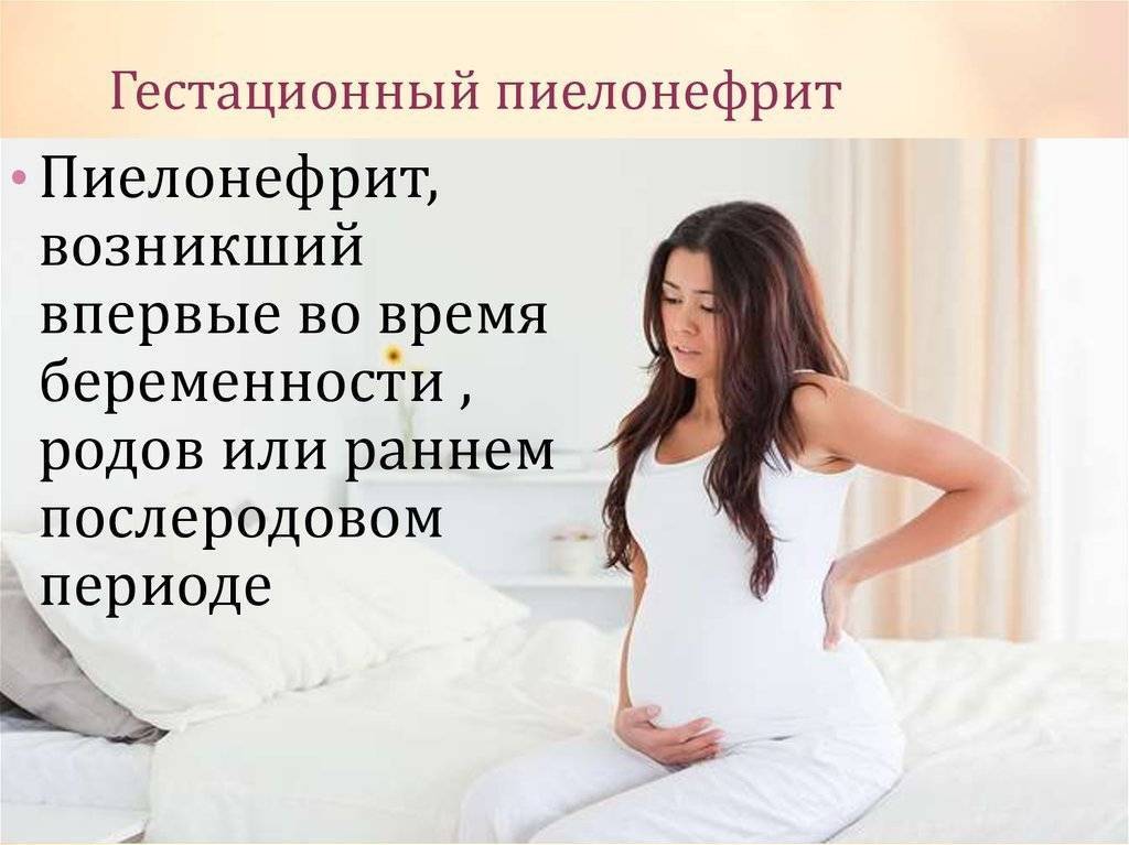 Пиелонефрит при беременности | особенности пиелонефрита почек у беременных