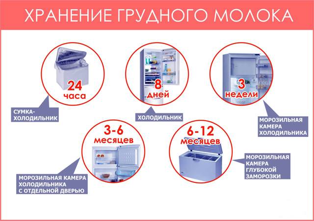 Как хранить сцеженное грудное молоко: 6 важных правил - parents.ru