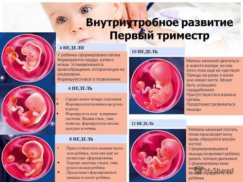 Изменения, проблемы, рекомендации для 4-й недели беременности