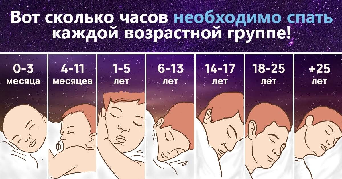 Сколько должен спать ребенок в 6 месяцев: днем и ночью?