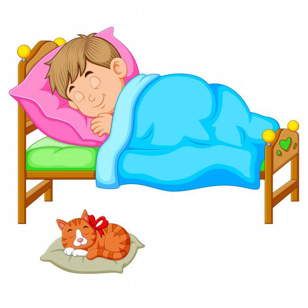 Если кошка спит на кровати хозяина: что гласит примета : мозаика на портале newsland