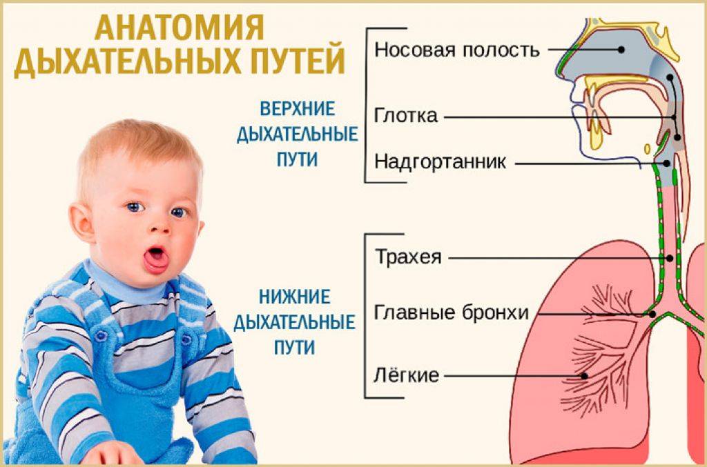 Влажный кашель у детей. лечение влажного кашля