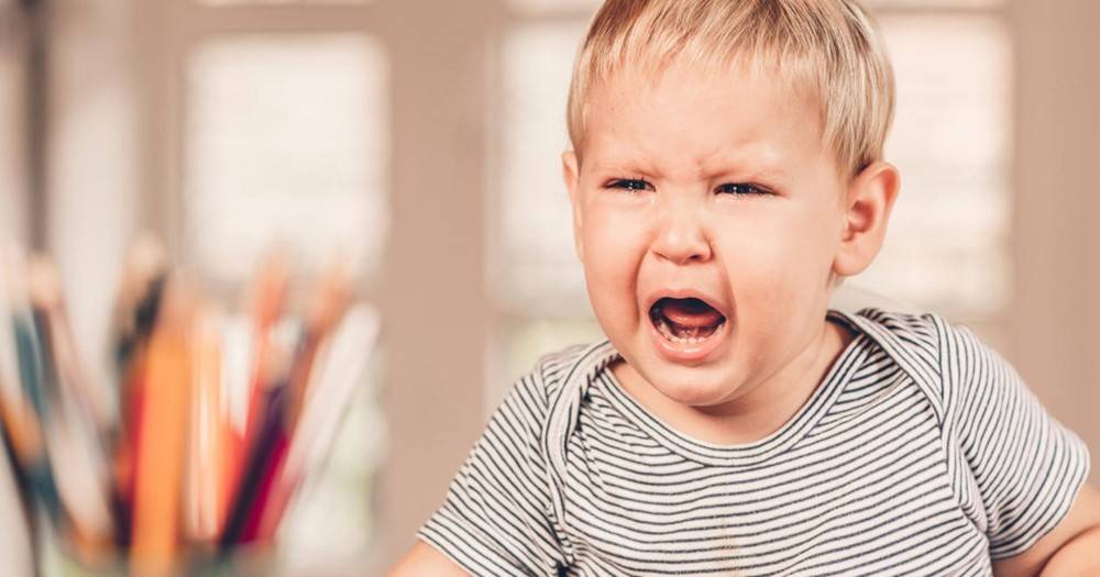 Истерика у ребенка 3 лет что делать: советы от доктора комаровского