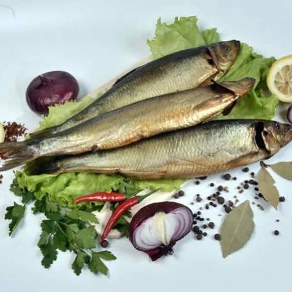 Любительницам соленой рыбы: можно ли есть её при грудном вскармливании? нюансы введения в мамино и детское питание