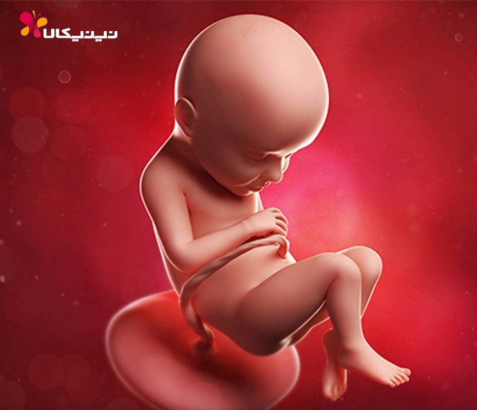 32 неделя беременности: что происходит с мамой и малышом, как развивается плод?