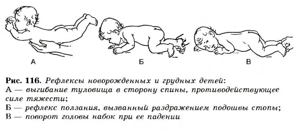 Рефлексы новорожденного у ребенка, младенца