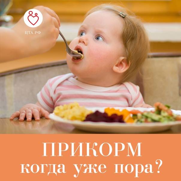 Картофель в прикорме - энциклопедия детское питание