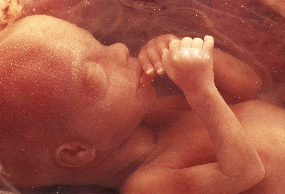 12 неделя беременности - что происходит, развитие плода и пол ребенка на узи, как выглядит, ощущения в животе