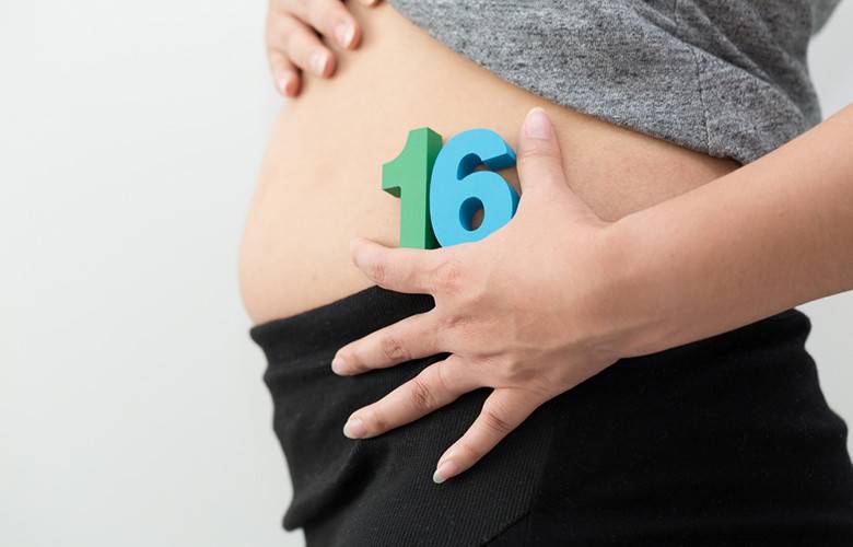 Что происходит с малышом и будущей мамой на 16 неделе беременности: развитие плода, ощущения женщины, размер живота