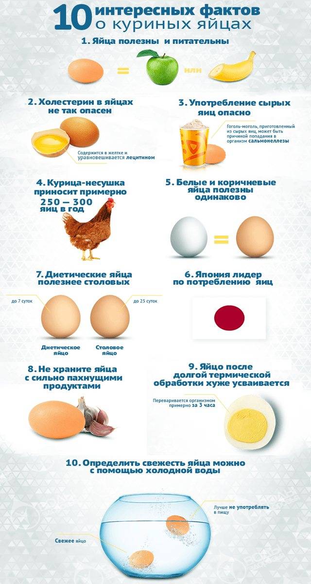 Перепелиные яйца: сколько по времени варить мин после закипания, как долго можно, чтобы были в мешочек, как надо правильно вкрутую для салата, полезны ли ребенку?