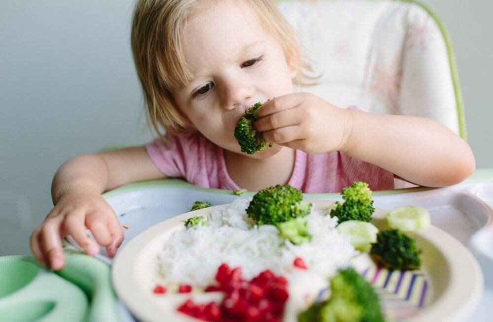 Прикорм ребенка. с чего начинать прикорм? схема прикорма по месяцам. баночное питание или натуральное?