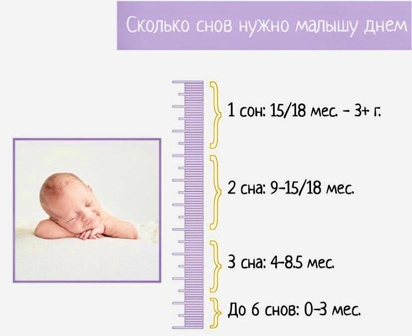 Сколько должен спать ребенок в 3 месяца, режим ребенка
