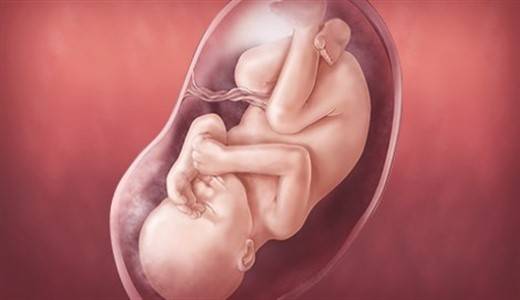 38 неделя беременности: признаки и ощущения женщины, симптомы, развитие плода