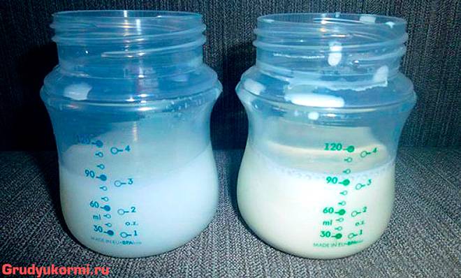 Что значит и как отличить переднее и заднее молоко