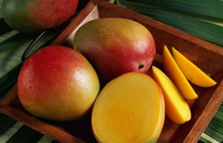 Можно ли манго при беременности. польза и вред манго во время беременности. манго и беременность: можно ли есть плод беременным в 1, 2 и 3 триместрах, какая польза и вред?