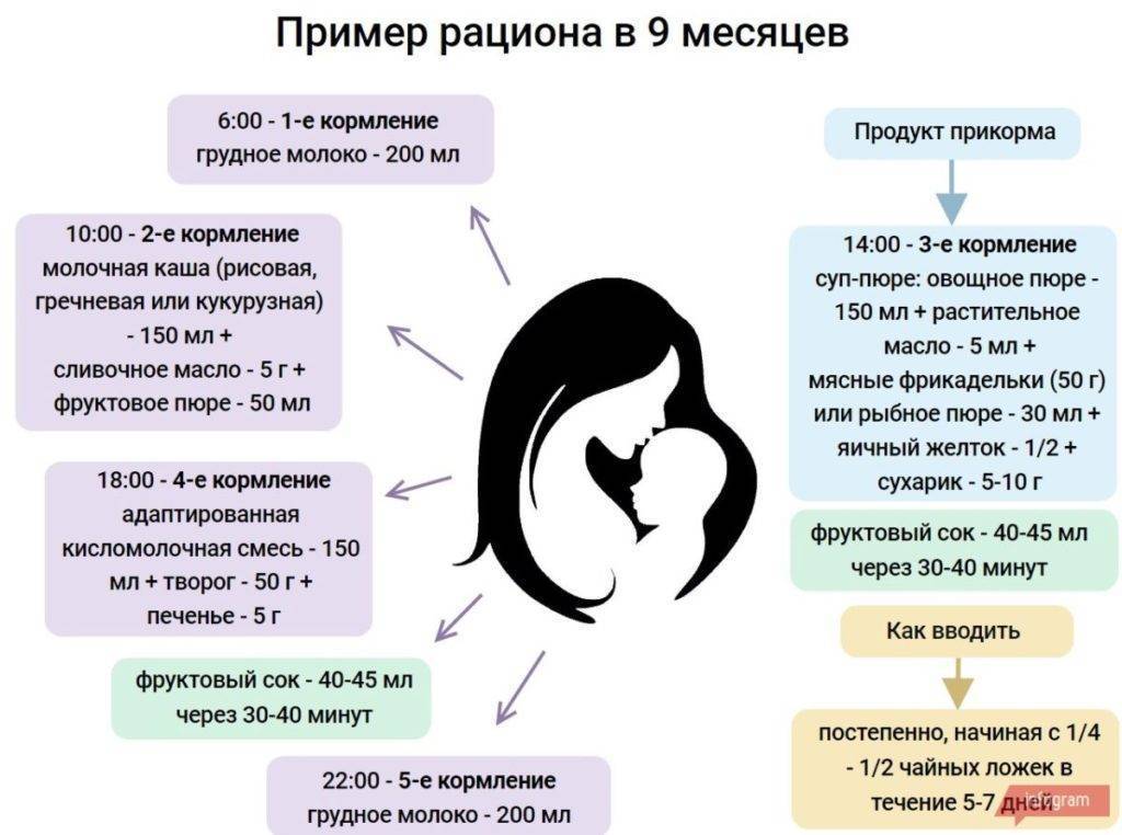 Меню ребенка в 8 месяцев: питание и рацион на грудном и искусственном вскармливании, по комаровскому
