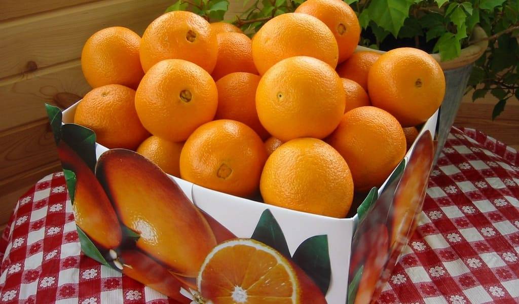 Апельсины при беременности: польза и вред. какие витамины в апельсине