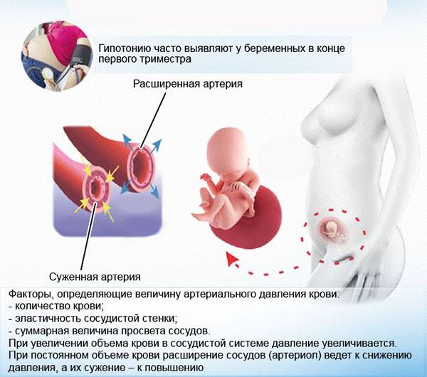 Давление при беременности: нормы, причины и признаки повышения — клиника isida киев, украина